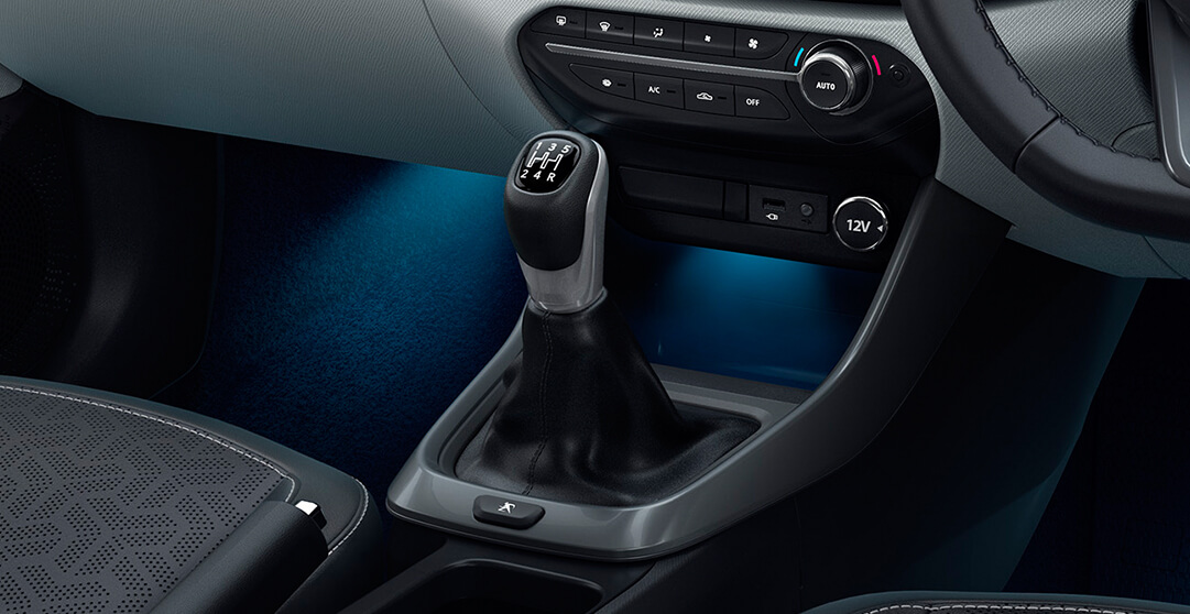 Manual Transmission Type