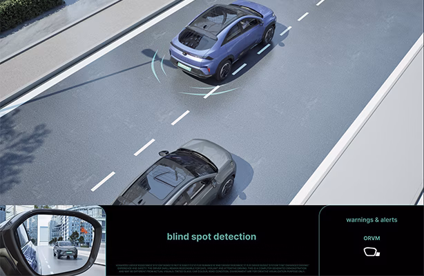 BSD (Blind Spot Detection)