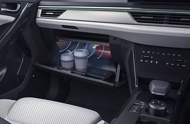 Cooling Glove Box