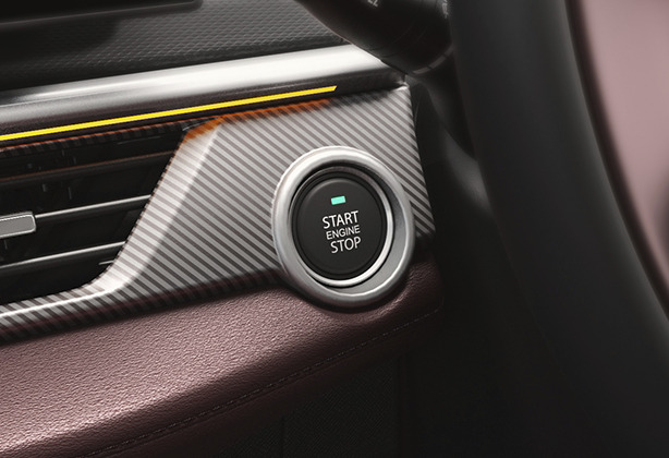 Start/Stop Button