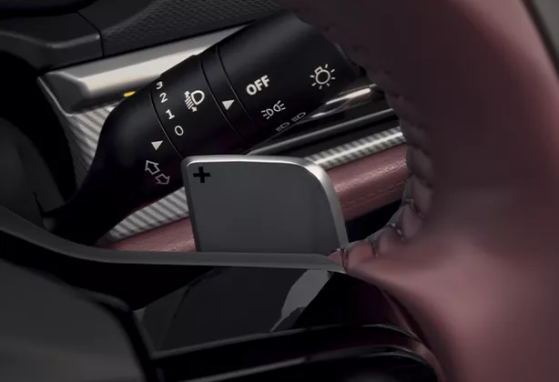 Paddle Shifters