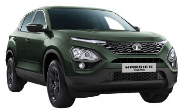 Majesto Camo Green