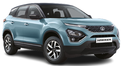 Tropical Mist with Black Roof