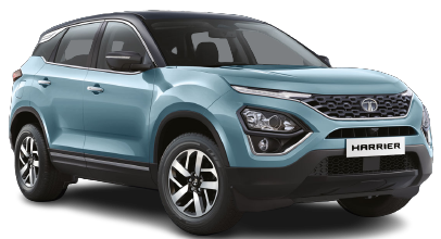 Tropical Mist with Black Roof