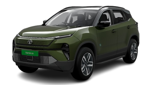 Seaweed Green with Black Roof