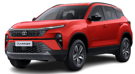 fearless-red-with-black-roof image