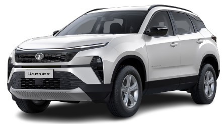 pristine-white-with-black-roof image