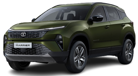 Seaweed Green with Black Roof