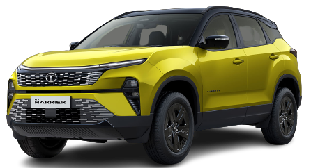 Sunlit Yellow With Black Roof
