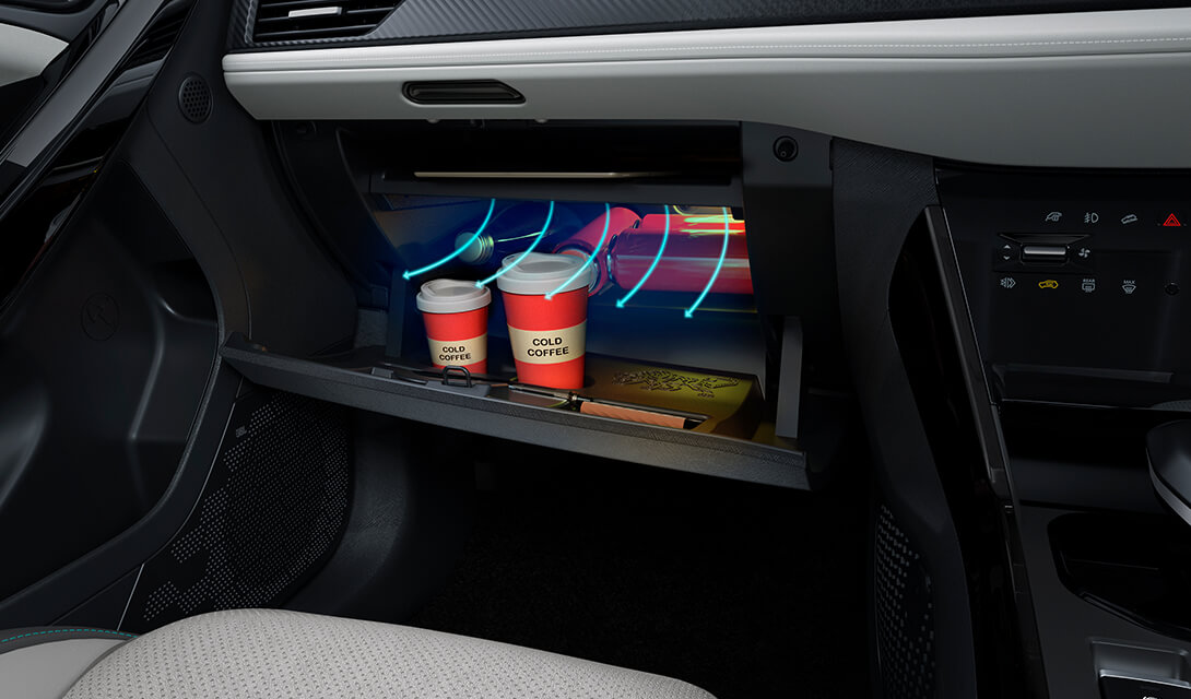 Cooling Glove Box