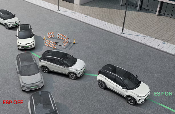 ESP (Electronic Stability Program)