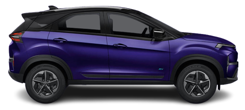 Fearless Purple With Black Roof