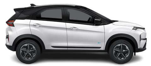 Pristine White with White Roof