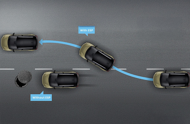ESP (Electronic Stability Program)
