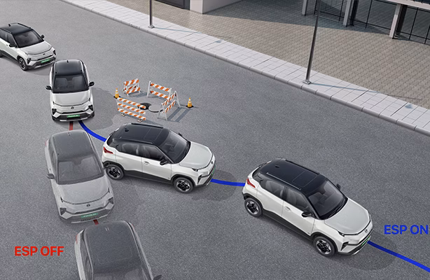 ESP (Electronic Stability Program)