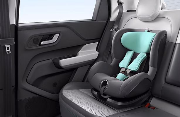 ISOFIX Child Seat Mounts