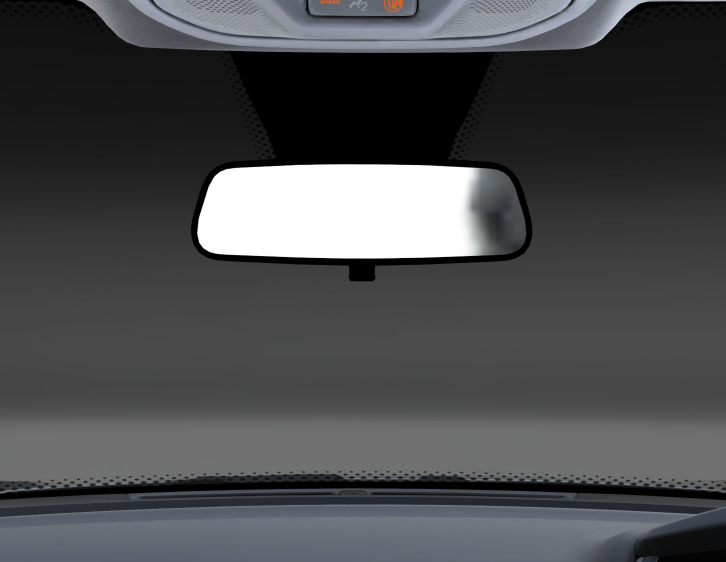 IRVM