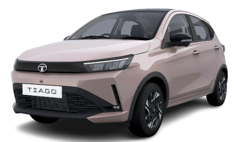Sobo Surge with Black Roof