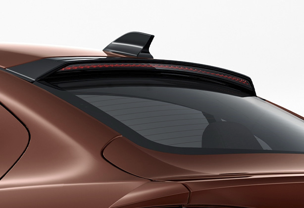 Rear Spoiler