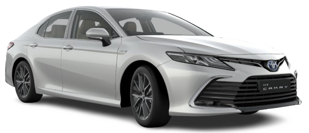 platinum-white-pearl image