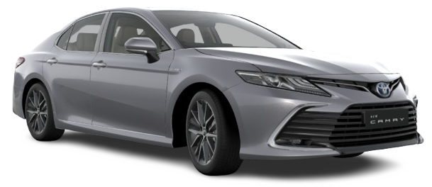 silver-metallic image