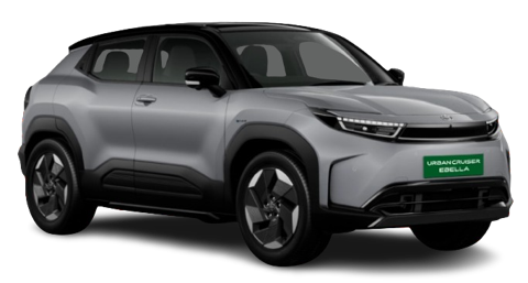 Enticing Silver with Black Roof